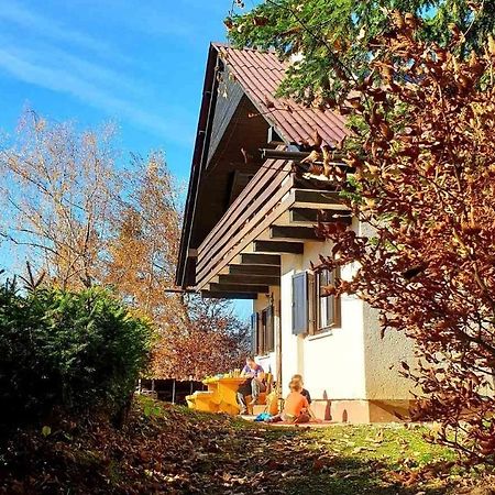 Villa Pet & Family Friendly House Viktorija - House Near Golica With Triglav View Jesenice Esterno foto