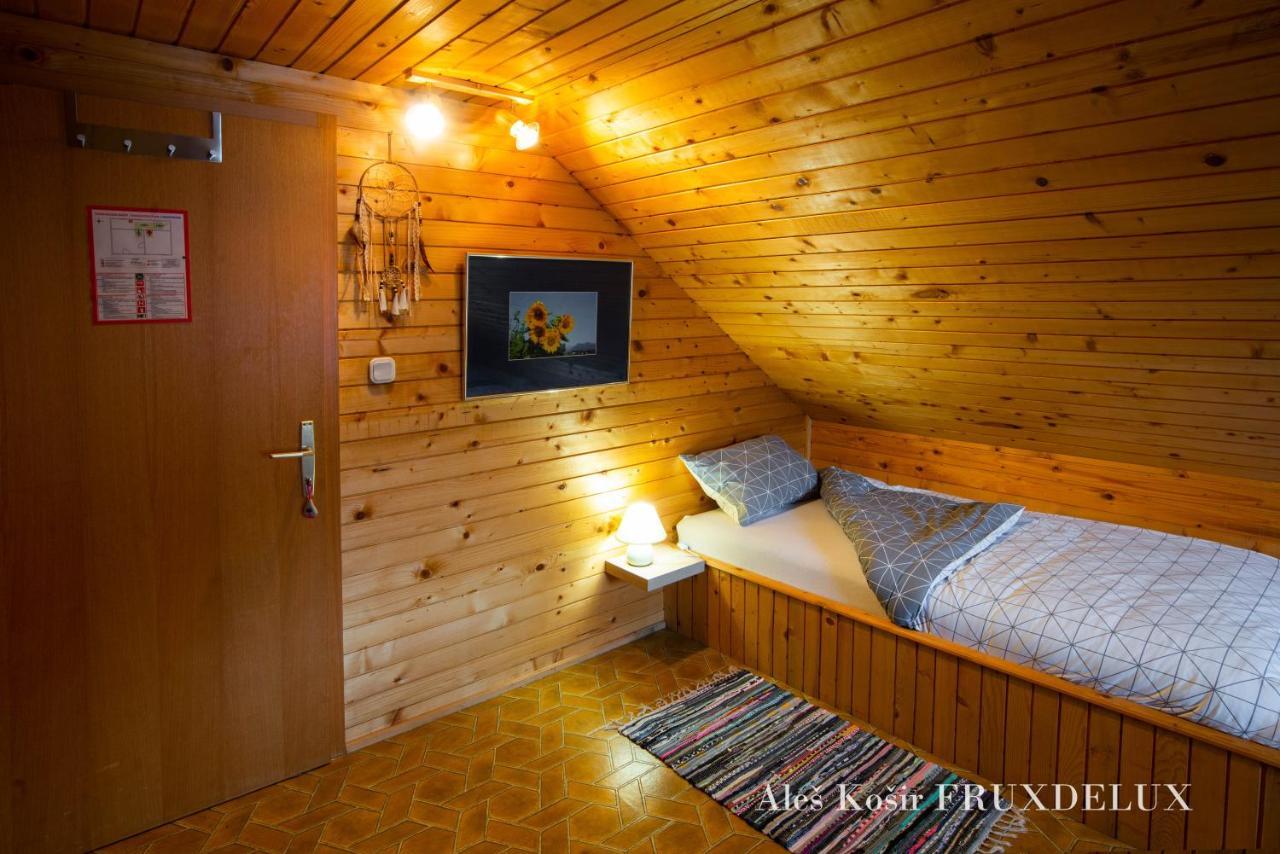 Villa Pet & Family Friendly House Viktorija - House Near Golica With Triglav View Jesenice Esterno foto