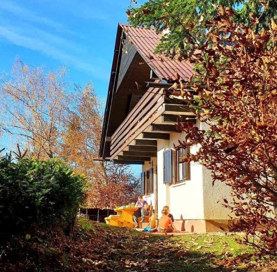 Villa Pet & Family Friendly House Viktorija - House Near Golica With Triglav View Jesenice Esterno foto