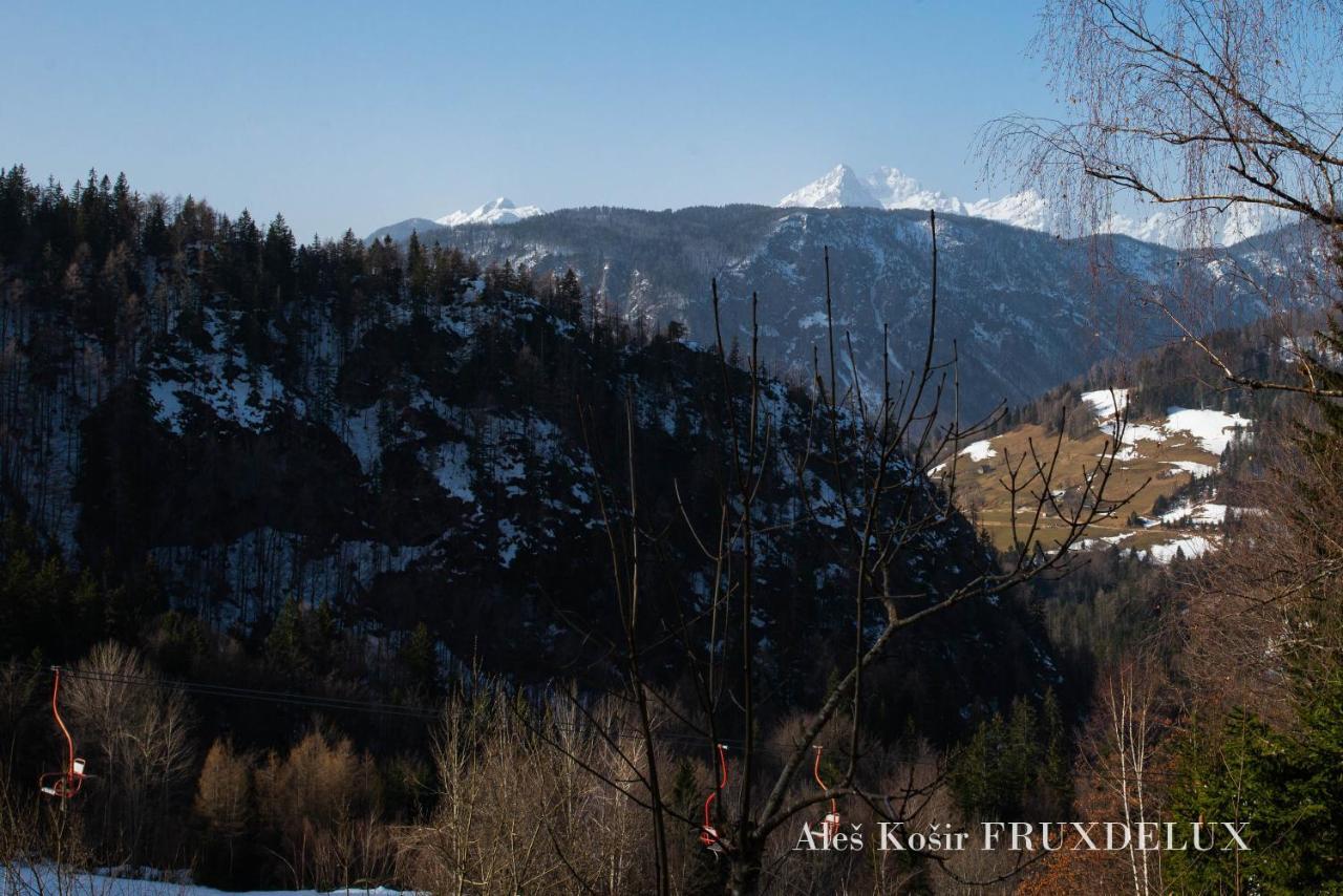 Villa Pet & Family Friendly House Viktorija - House Near Golica With Triglav View Jesenice Esterno foto