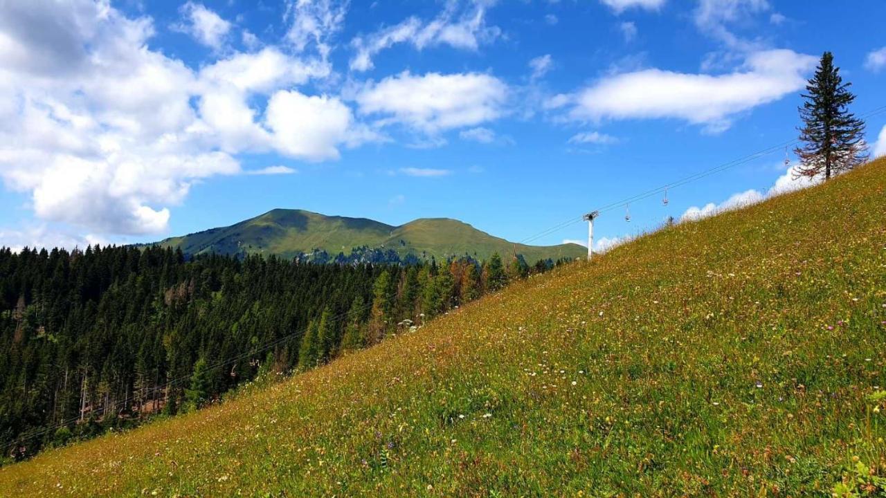 Villa Pet & Family Friendly House Viktorija - House Near Golica With Triglav View Jesenice Esterno foto