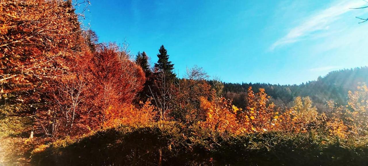 Villa Pet & Family Friendly House Viktorija - House Near Golica With Triglav View Jesenice Esterno foto