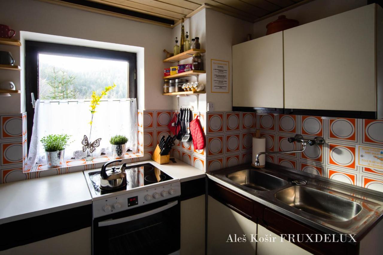 Villa Pet & Family Friendly House Viktorija - House Near Golica With Triglav View Jesenice Esterno foto